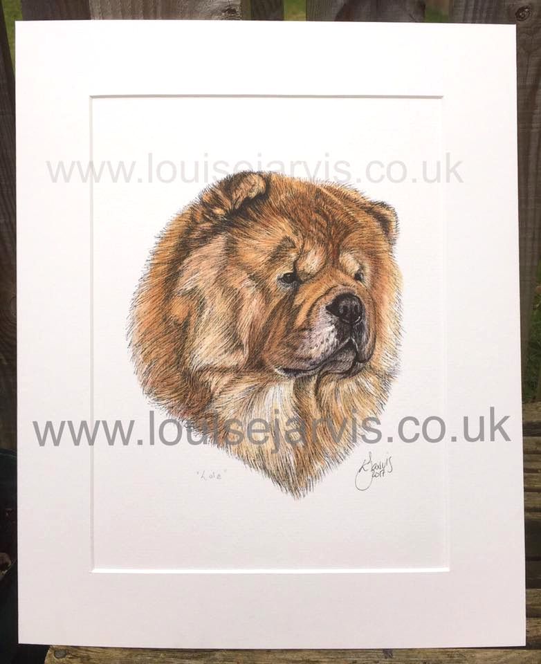 chow chow commissioned pen and watercolour and ink portrait by Louise Jarvis Art scottish animal artist, pet portraits, dog portraits, commission a portrait, crufts, top best animal artist, perthshire scotland, uk 