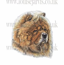 commissioned pen and watercolour and ink portrait by Louise Jarvis Art scottish animal artist, pet portraits, dog portraits, commission a portrait, crufts, top best animal artist, perthshire scotland, uk Picture