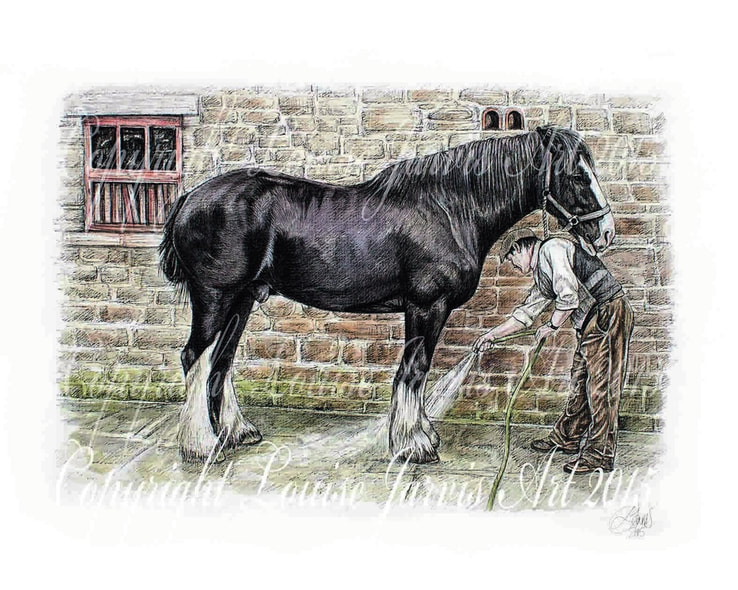 top equine artist, equine art, horse portraits commissioned pen and watercolour and ink portrait by Louise Jarvis Art scottish animal artist, pet portraits, dog portraits, commission a portrait, crufts, top best animal artist, perthshire scotland, uk, Pictures